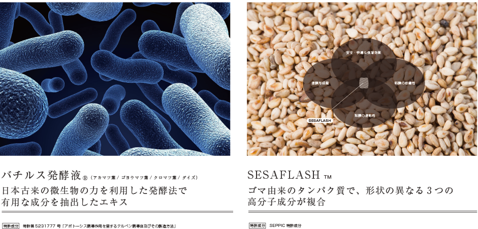 バチルス発酵液とSESAFLASH